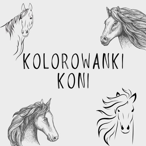 kon kolorowanki