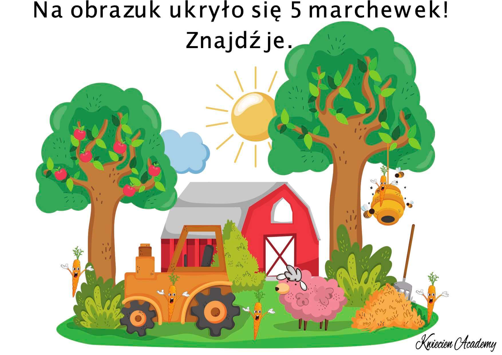 Marchewka karty pracy